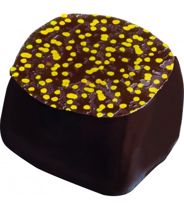 Lot de 6 "Etui-convive"