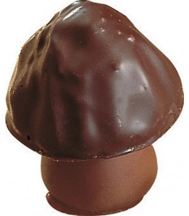 20 Morilles du Dauphiné