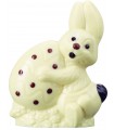 Lapin Blanc + friandises