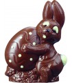 Lapin Lait  + friandises