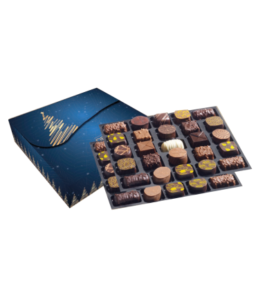 Etui Bleu sapin doré