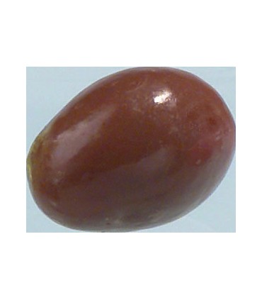 Oeufs feuilletés Lait