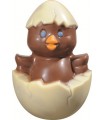 Poussin Lait