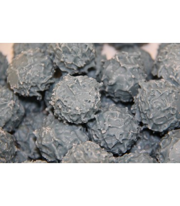 Chardons Pralinés Amande (Chardons Bleus)