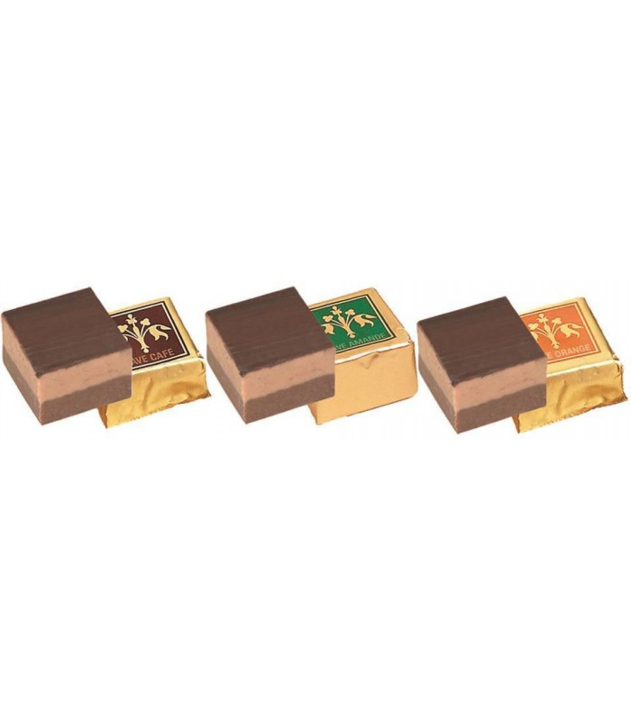 Pavé praliné et gianduja