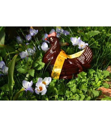 Grosse Poule Noir + friandises